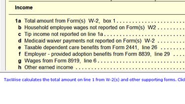 Context sensitive help UltimateTax